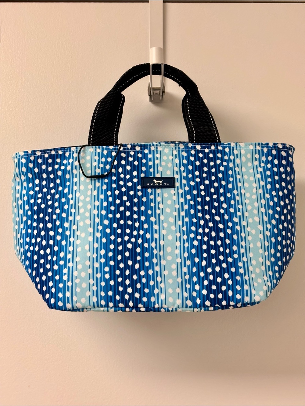 EUC Scout Blue & Light Blue Dot Stripe Lunch Tote